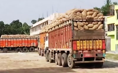 পেঁয়াজ রপ্তানিতে নিষেধাজ্ঞা দিয়ে গ্যাঁড়াকলে ভারত