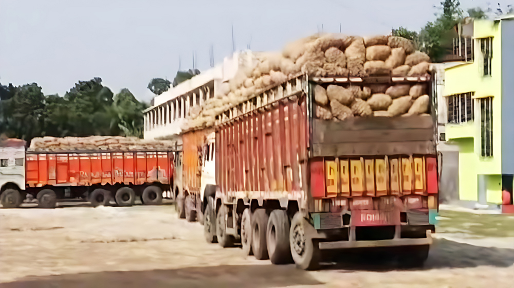 পেঁয়াজ রপ্তানিতে নিষেধাজ্ঞা দিয়ে গ্যাঁড়াকলে ভারত