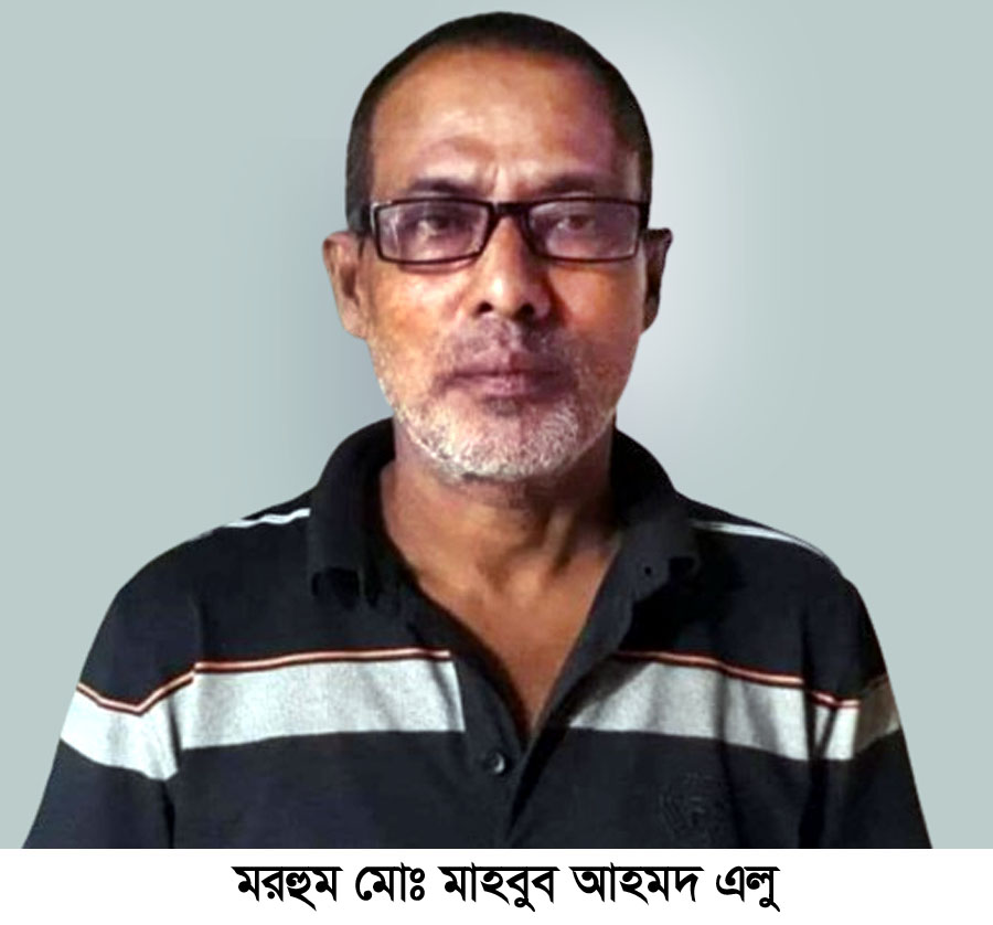 সমাজসেবী মাহবুব আহমদ এলু আর নেই, দাফন সম্পন্ন