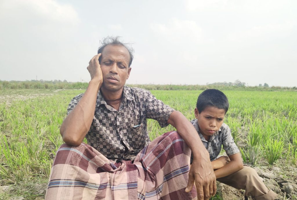 গোয়াইনঘাটে জমির ধান নষ্ট করে দিলো প্রতিপক্ষ: দিশেহারা কৃষক