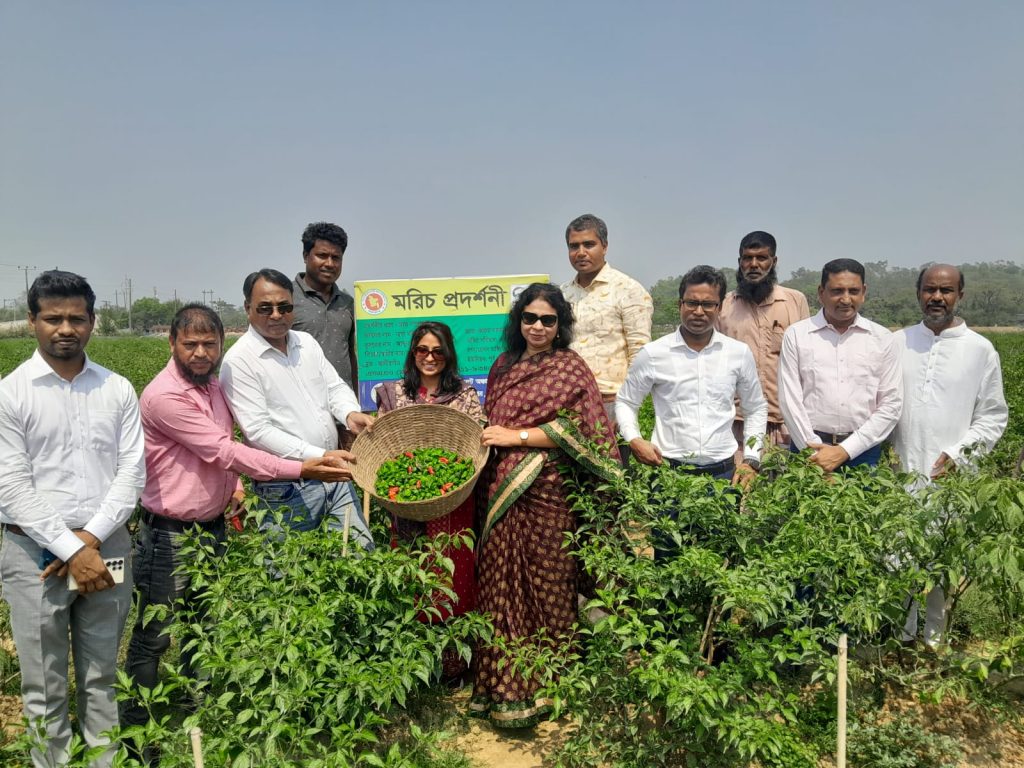 গোয়াইনঘাটে নাগামরিচের বাগান পরিদর্শনে যুগ্ম সচিব