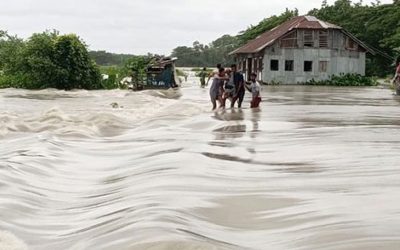 আমতলীতে রিমালের তান্ডবে পৌনে দুইশ’ কোটি টাকার ক্ষতি