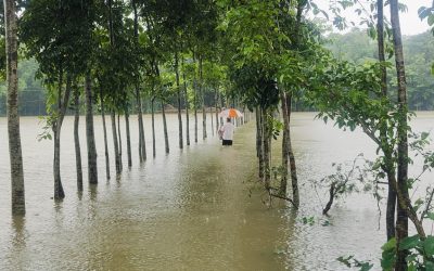 গোয়াইনঘাটে ভয়াবহ বন্যায় পানি বন্দি সাড়ে ২৪ হাজার পরিবারের মানুষ