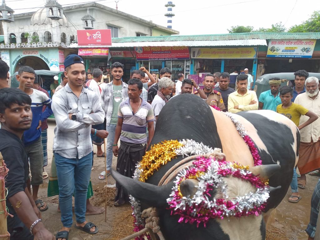 জগন্নাথপুরে জমে উঠেছে কোরবানির পশুর হাট