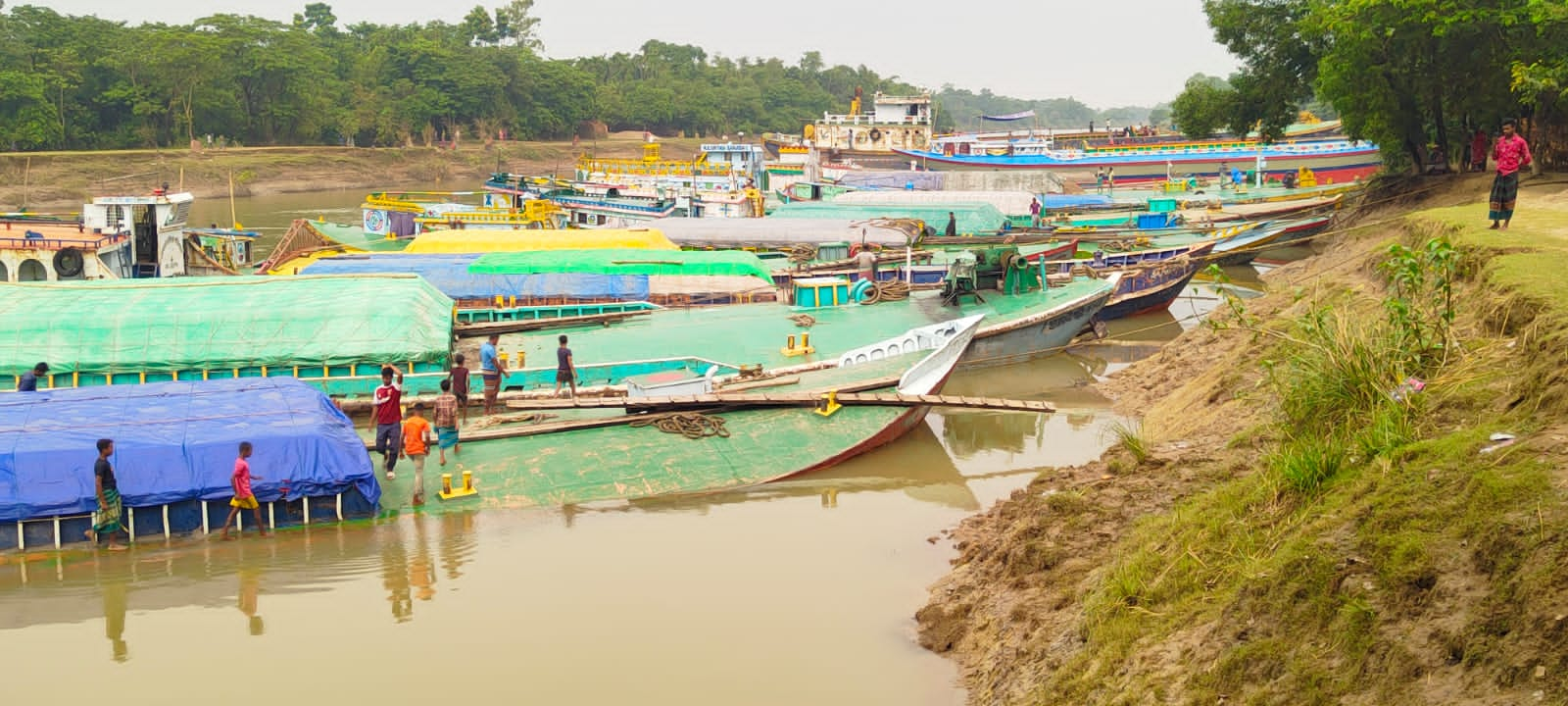 গোয়াইনঘাটে বালুবাহী শতশত বলগেট: ভাঙনে দিশেহারা নদীতীরের মানুষ