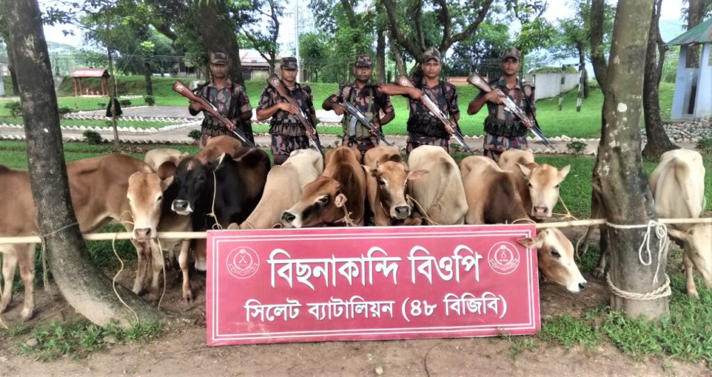 বিজিবি’র অভিযানে ফের প্রায় দেড় কোটি টাকার ভারতীয় পণ্য জব্দ