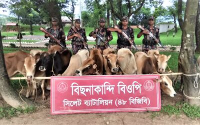 বিজিবি’র অভিযানে ফের প্রায় দেড় কোটি টাকার ভারতীয় পণ্য জব্দ