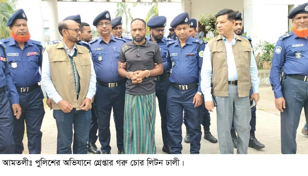 আমতলীতে পুলিশের অভিযানে ১৪ চোরাই গরু উদ্ধার: চোর গ্রেপ্তার