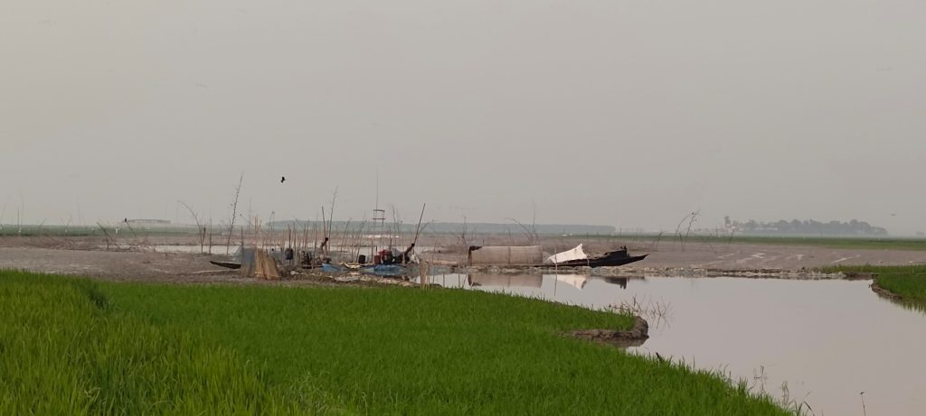 জামালগঞ্জে লম্বাবিল জলমহাল শুকিয়ে মাছ নিধন