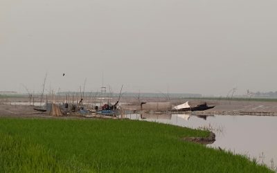 জামালগঞ্জে লম্বাবিল জলমহাল শুকিয়ে মাছ নিধন