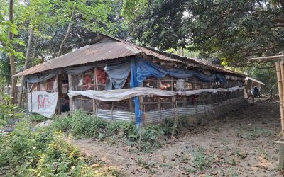 শান্তিগঞ্জে গাগলী গ্রামে জনবসতিপূর্ণ এলাকায় পোলট্রি ফার্ম, ভয়াবহ পরিবেশ দূষণ