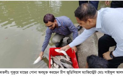আমতলীতে মাছের পোনা অবমুক্ত