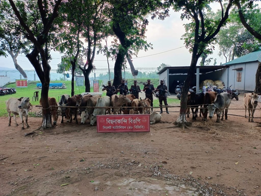 সীমান্তে বিজিবির অভিযানে ৯৫ লাখ টাকার ভারতীয় চোরাই পণ্য জব্দ