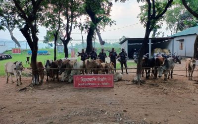 সীমান্তে বিজিবির অভিযানে ৯৫ লাখ টাকার ভারতীয় চোরাই পণ্য জব্দ
