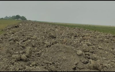জামালগঞ্জে রাতের আঁধারে ফসলি জমি ও কান্দা কাটার মহোৎসব