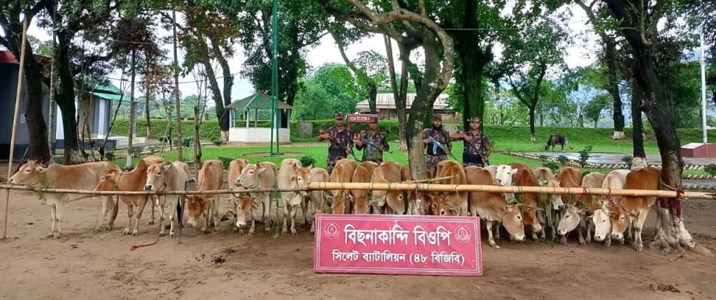 গোয়াইনঘাটে ১ কোটি ৫৫ লাখ টাকার ভারতীয় চোরাই পণ্য জব্দ