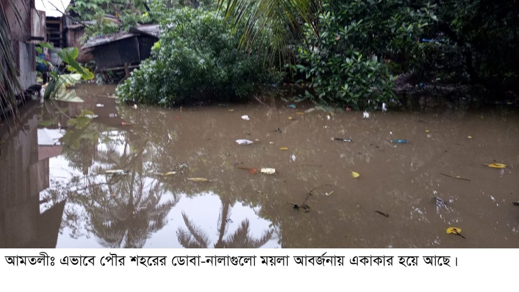 আমতলী পৌরসভার ডোবা-নালা যেন, মশার আতুর ঘর : পৌরসভা কর্তৃপক্ষের মশা তাড়ানোর উদ্যোগ নেই