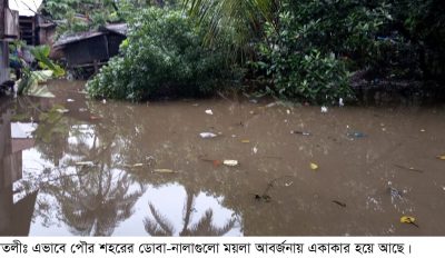 আমতলী পৌরসভার ডোবা-নালা যেন, মশার আতুর ঘর : পৌরসভা কর্তৃপক্ষের মশা তাড়ানোর উদ্যোগ নেই