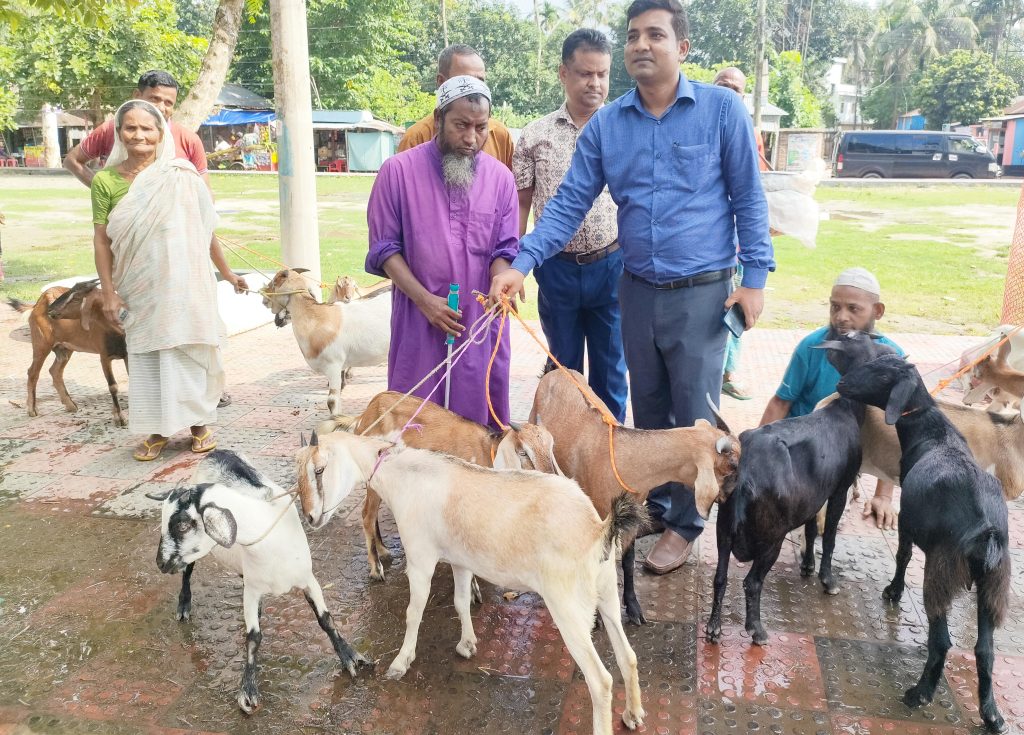 উলিপুরে ভিক্ষুক পুর্নবাসনে ছাগল বিতরণ