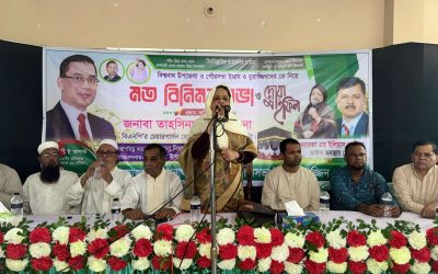 বিএনপি ইসলামী মূল্যবোধে বিশ্বাসী একটি উদার রাজনৈতিক দল : লুনা