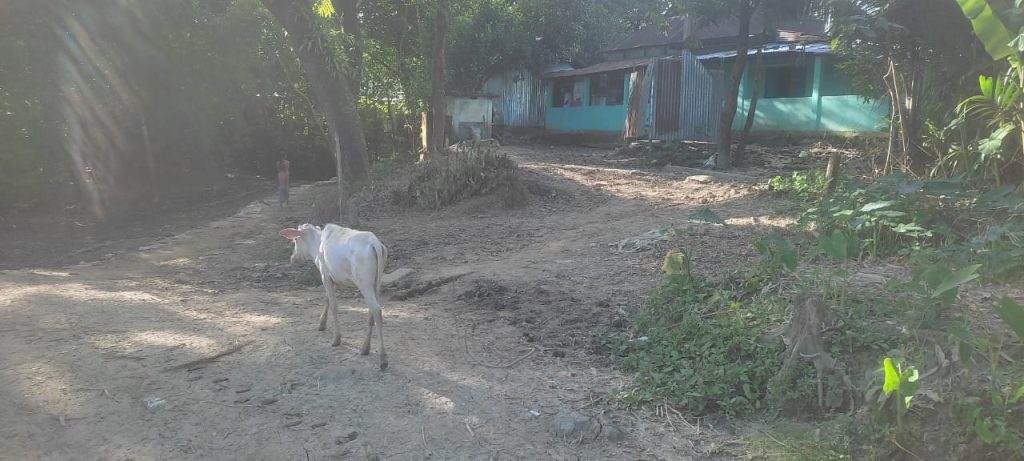 গোয়াইনঘাটে সরকারি রাস্তা দখল করে ছাত্রলীগ নেতার বসতঘর নির্মাণ যাতায়াত ভোগান্তিতে ২৫ টি পরিবার