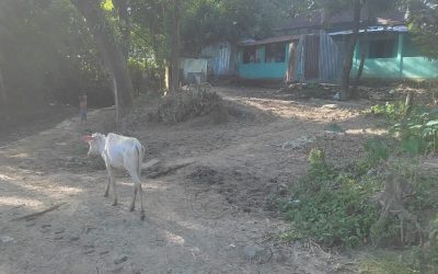 গোয়াইনঘাটে সরকারি রাস্তা দখল করে ছাত্রলীগ নেতার বসতঘর নির্মাণ যাতায়াত ভোগান্তিতে ২৫ টি পরিবার
