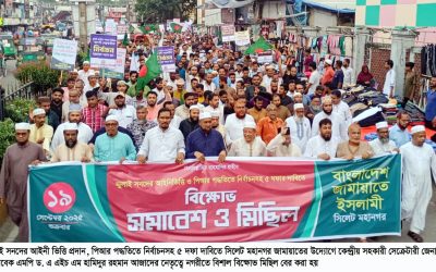 সংস্কার না করেই নির্বাচন জুলাই গণঅভ্যুত্থানকে অস্বীকারের শামিল : সাবেক এমপি ড. হামিদুর রহমান আজাদ