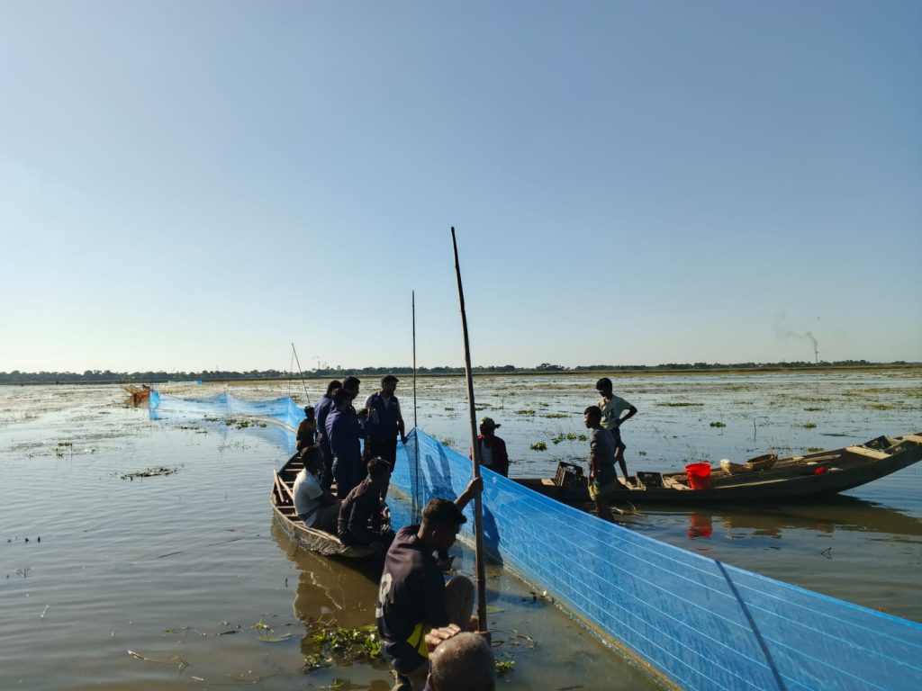 শান্তিগঞ্জের কাচির ভাঙ্গা হাওরে ৩০ একর জায়গা দখল করে বের দিয়ে মৎস্য নিধন : ইজারাদারের অভিযোগ দায়ের