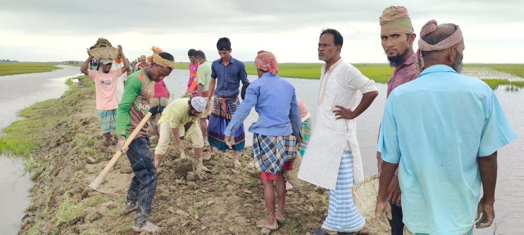 জামালগঞ্জে স্বেচ্ছাশ্রমে ফসল রক্ষা বাঁধ মেরামত