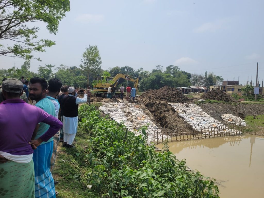 বৃষ্টির কারণে হাওরে জলাবদ্ধতা, ডুবছে সোনালী ফসল- দেখার হাওরের বাঁধ কেটে দিলেন কৃষকরা