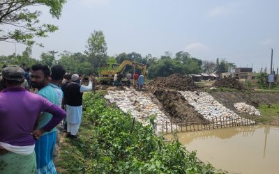 বৃষ্টির কারণে হাওরে জলাবদ্ধতা, ডুবছে সোনালী ফসল- দেখার হাওরের বাঁধ কেটে দিলেন কৃষকরা