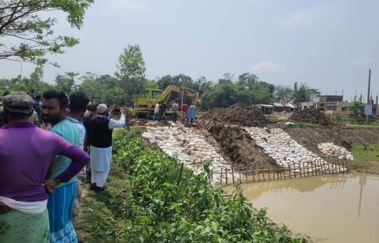 বৃষ্টির কারণে হাওরে জলাবদ্ধতা, ডুবছে সোনালী ফসল- দেখার হাওরের বাঁধ কেটে দিলেন কৃষকরা