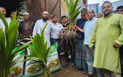 আমতলীতে সাড়ে ৬ হাজার গাছের চারা ও ৩০ হাজার কেজি সার বিতরন