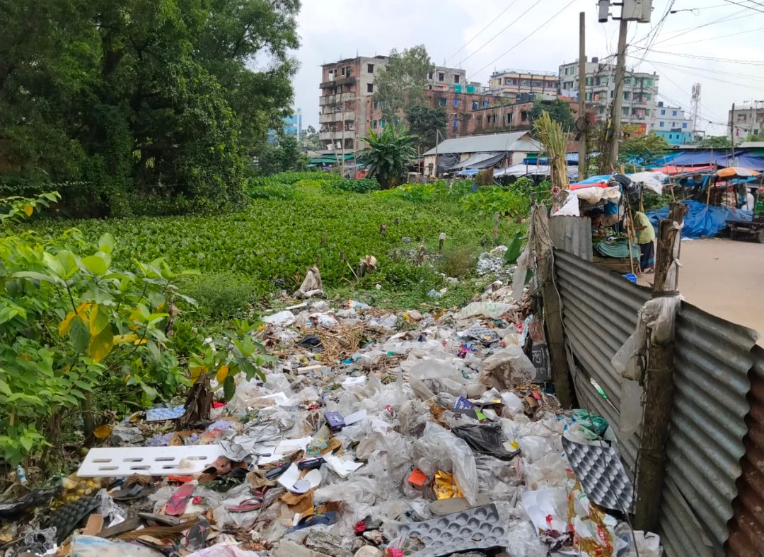 কালিয়াকৈর সরকারি কলেজে মশার উপদ্রব ও দুর্গন্ধ: ব্যাহত শিক্ষা কার্যক্রম
