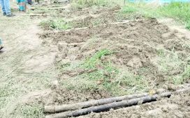 গাজীপুরে এক কবরস্থান থেকে ৮ টি কঙ্কাল চুরি, এলাকায় আতঙ্ক বিরাজ 