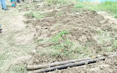 গাজীপুরে এক কবরস্থান থেকে ৮ টি কঙ্কাল চুরি, এলাকায় আতঙ্ক বিরাজ 