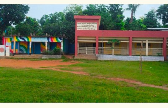কালিয়াকৈরে প্রাথমিক বিদ্যালয়ে ৩৩ জন প্রধান শিক্ষক ও ২১ জন সহকারী শিক্ষকের পদশূন্য : লেখাপড়া চরমভাবে ব্যাহত