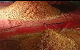 কালিয়াকৈরে ক্ষতিকর রং দিয়ে চানাচুর তৈরি- স্বাস্থ্যের জন্য মারাত্মক হুমকি 