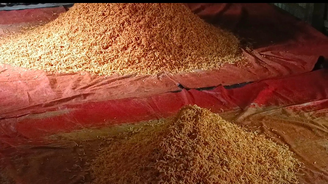 কালিয়াকৈরে ক্ষতিকর রং দিয়ে চানাচুর তৈরি- স্বাস্থ্যের জন্য মারাত্মক হুমকি 
