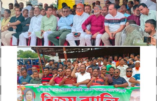 কালিয়াকৈরে জুলাই-আগস্ট উপলক্ষে দুদিনব্যাপী কর্মসূচি পালিত : গণসমাবেশ ও বিক্ষোভ মিছিল অনুষ্ঠিত