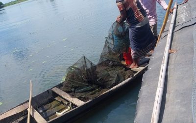 শান্তিগঞ্জের হাওরে অবৈধ রিংজাল উদ্ধার, আগুনে পুড়িয়ে ধ্বংস