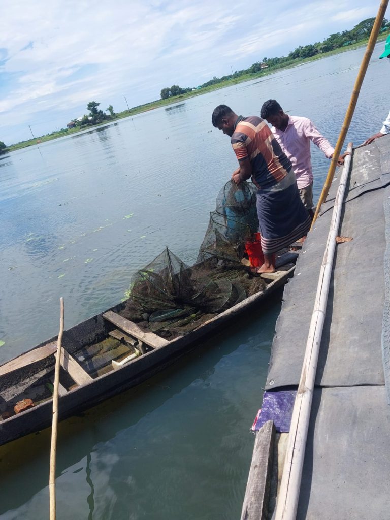 শান্তিগঞ্জের হাওরে অবৈধ রিংজাল উদ্ধার, আগুনে পুড়িয়ে ধ্বংস