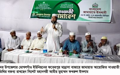 বিএনপি সরকার দলীয়করণের ভাইরাসে আক্রান্ত : মুহাম্মদ ফখরুল ইসলাম
